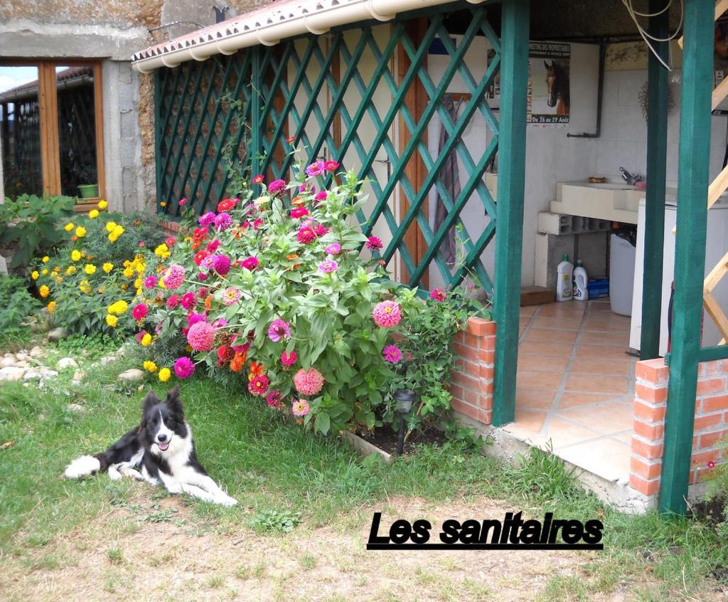 Hotel Ferme Equestre Les Chevaliers Penol Exterior foto
