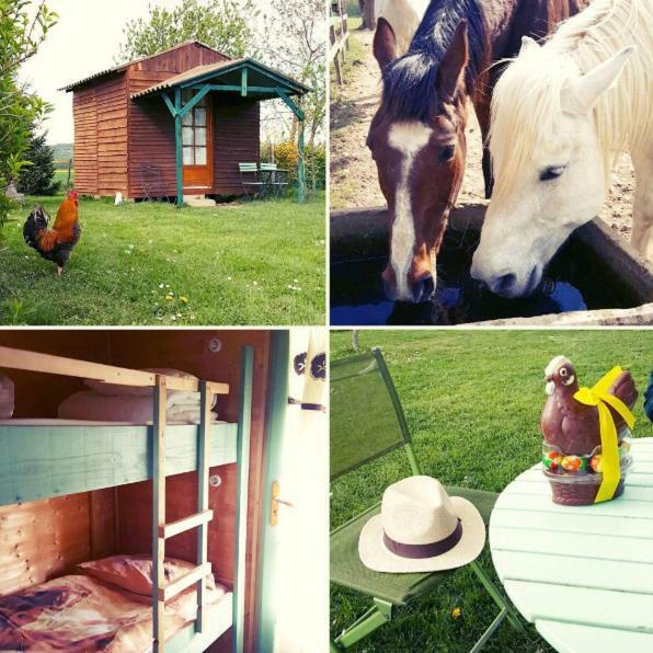 Hotel Ferme Equestre Les Chevaliers Penol Exterior foto