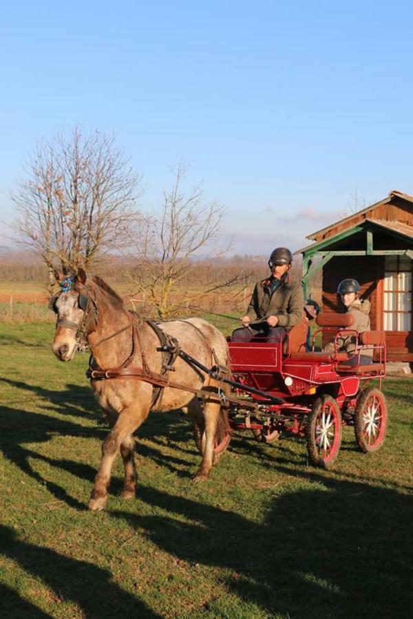 Hotel Ferme Equestre Les Chevaliers Penol Exterior foto